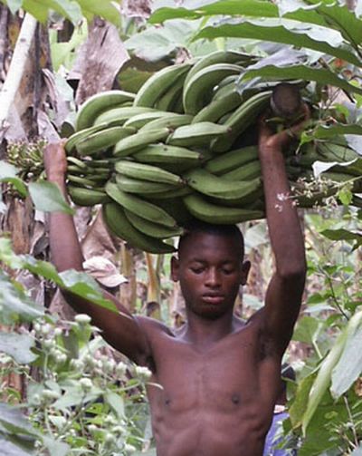 banane